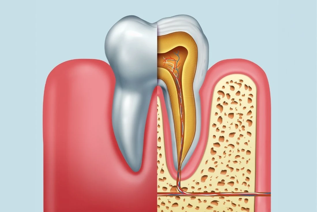 Dentist in 32963